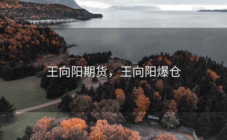 王向阳期货，王向阳爆仓
