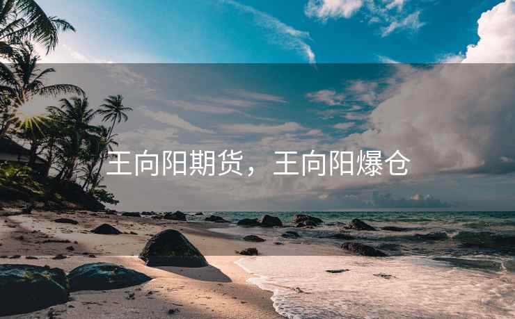 王向阳期货，王向阳爆仓