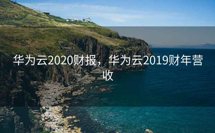 华为云2020财报，华为云2019财年营收  第2张