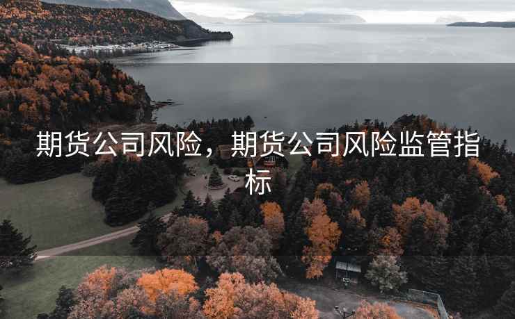 期货公司风险，期货公司风险监管指标