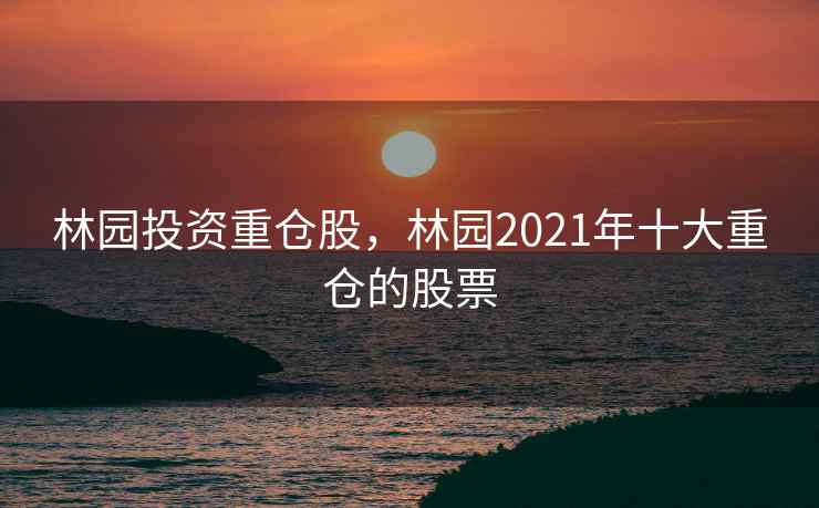 林园投资重仓股，林园2021年十大重仓的股票  第2张