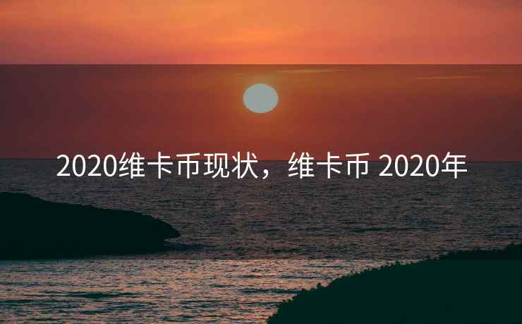 2020维卡币现状，维卡币 2020年