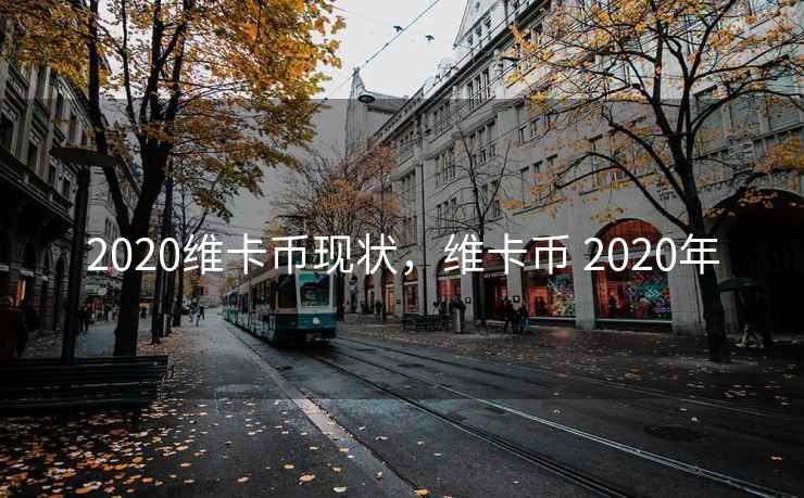 2020维卡币现状，维卡币 2020年