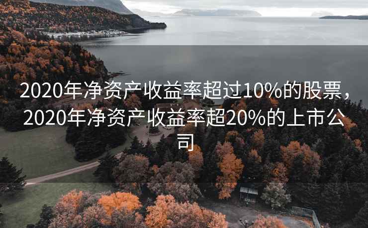 2020年净资产收益率超过10%的股票,2020年净资产收益率超20%的上市公司 第1张 2020年净资产收益率超过10%的股票,2020年净资产收益率超20%的上市公司 第1张