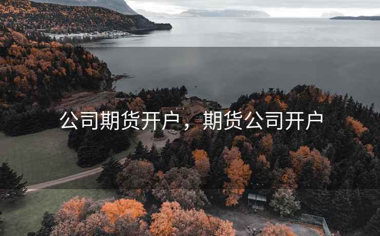 公司期货开户，期货公司开户