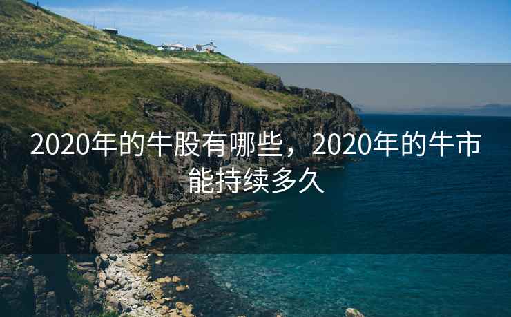 2020年的牛股有哪些，2020年的牛市能持续多久  第2张