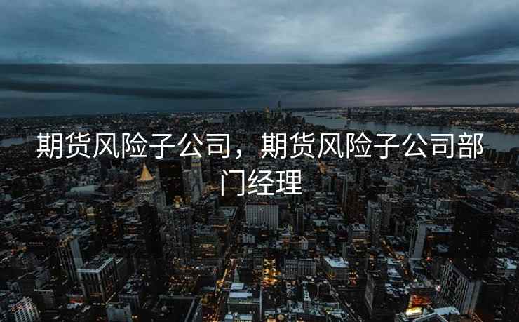期货风险子公司，期货风险子公司部门经理