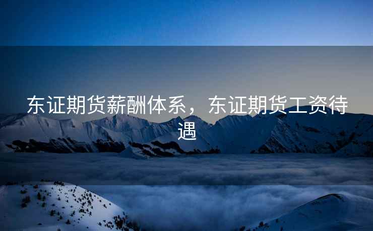 东证期货薪酬体系，东证期货工资待遇