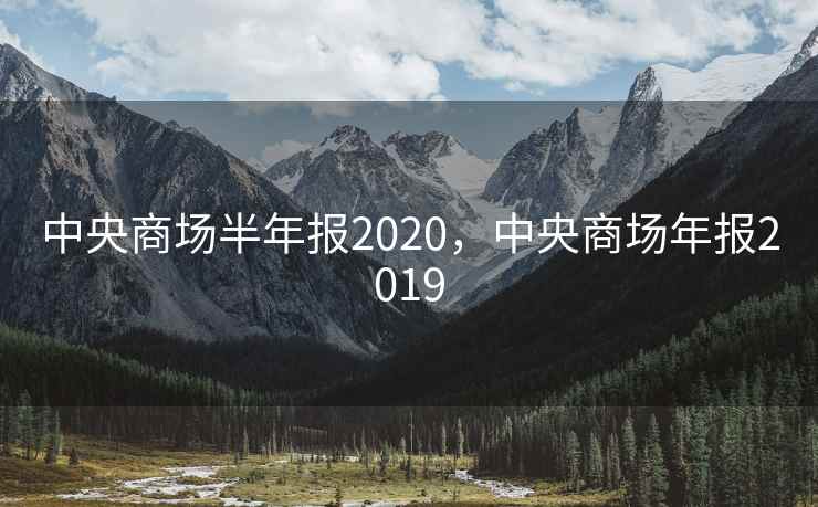 中央商场半年报2020，中央商场年报2019