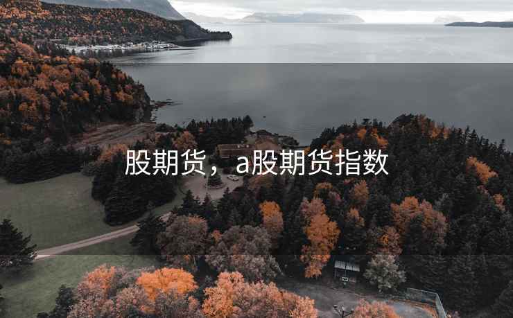 股期货，a股期货指数