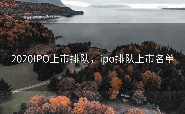 2020IPO上市排队，ipo排队上市名单