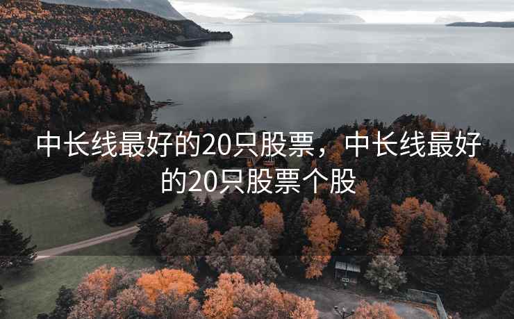 中长线最好的20只股票，中长线最好的20只股票个股
