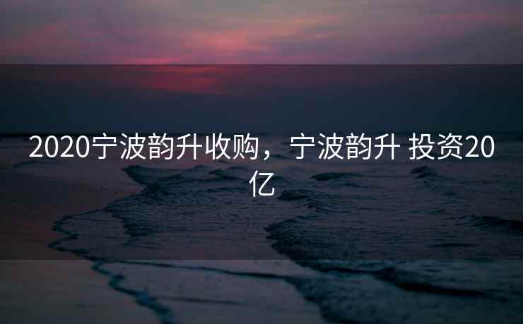 2020宁波韵升收购，宁波韵升 投资20亿  第2张