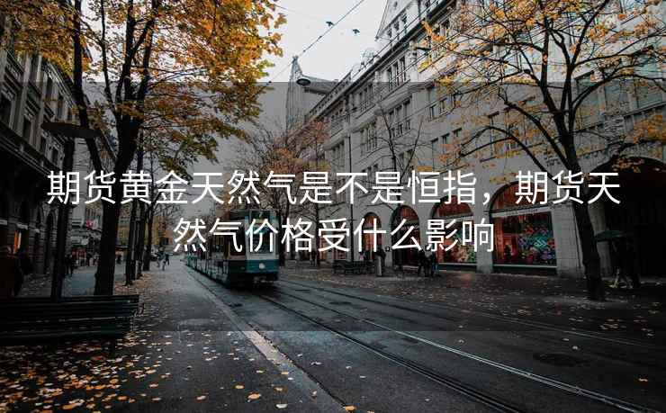 期货黄金天然气是不是恒指，期货天然气价格受什么影响