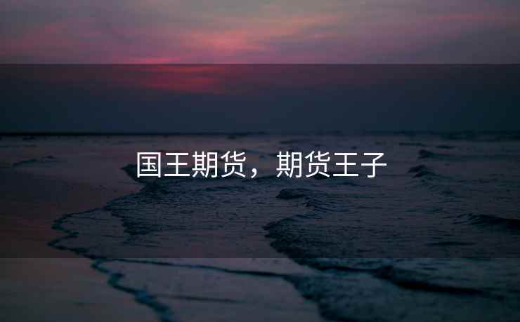国王期货，期货王子  第1张