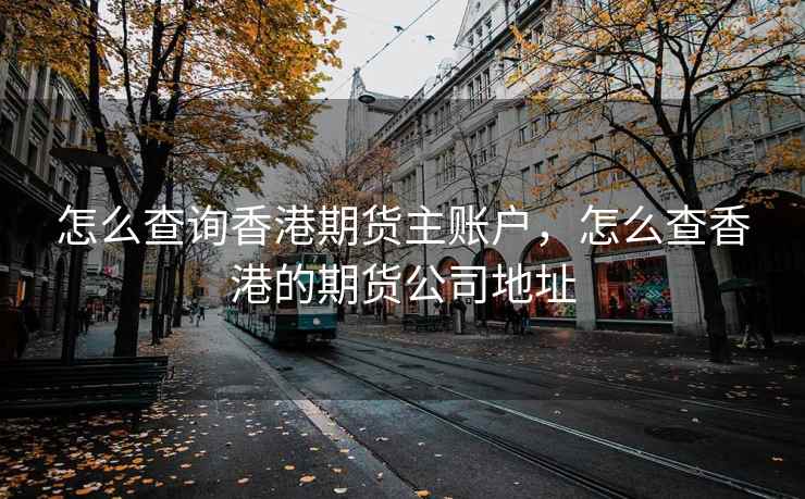 怎么查询香港期货主账户,怎么查香港的期货公司地址 第2张 怎么查询香港期货主账户,怎么查香港的期货公司地址 第2张