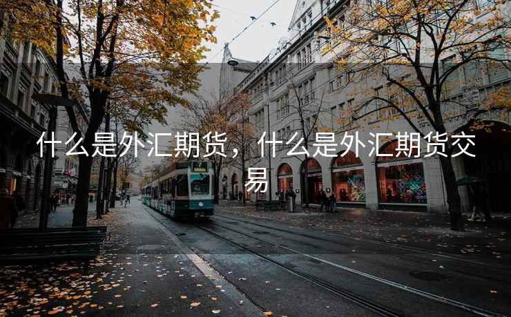 什么是外汇期货,什么是外汇期货交易 第2张 什么是外汇期货,什么是外汇期货交易 第2张